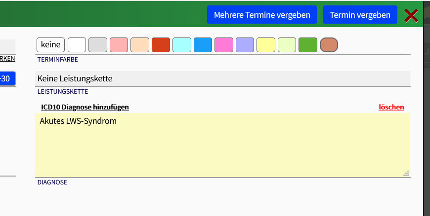 In Lemniscus die Diagnose eintragen